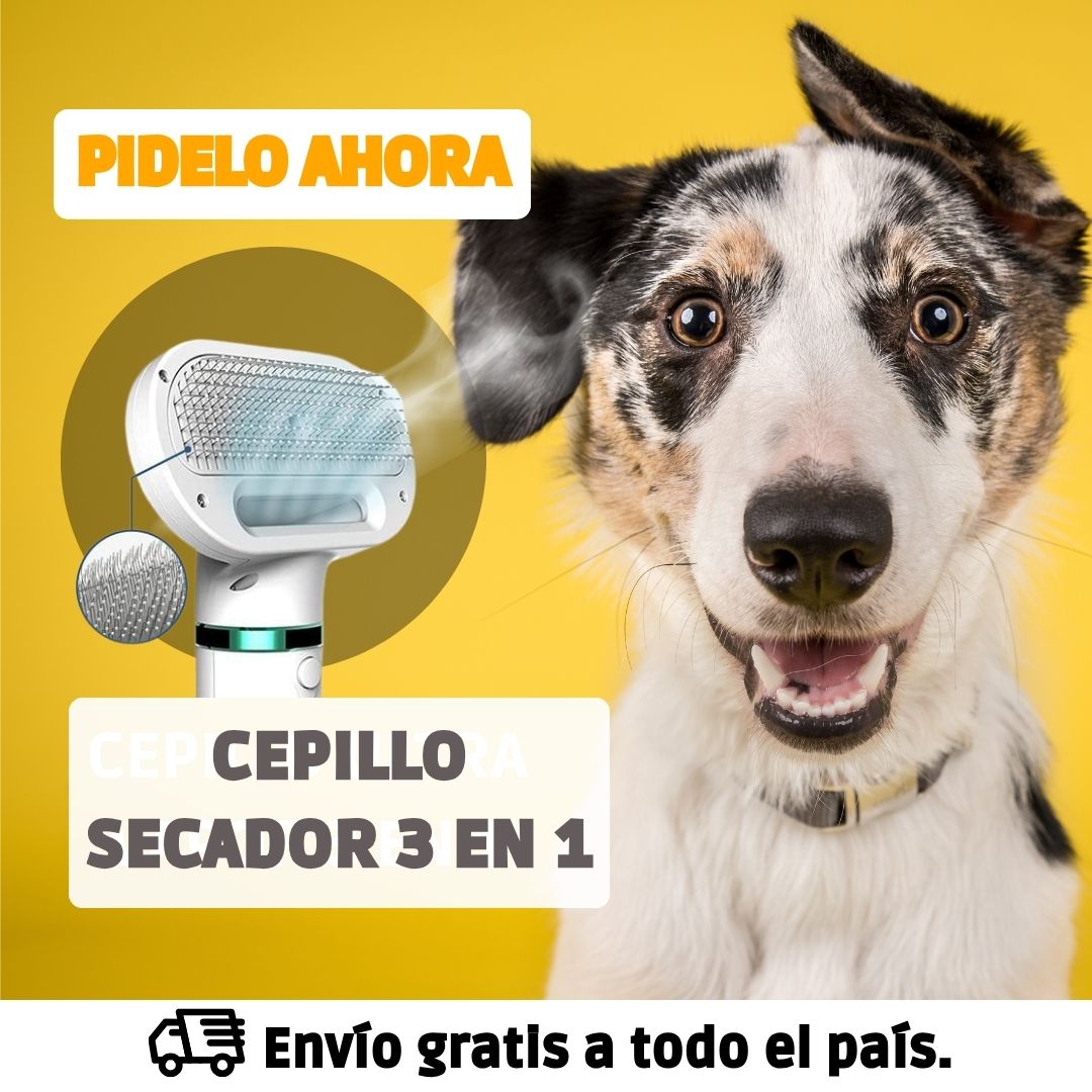 CEPILLO SECADOR PARA MASCOTAS 3 EN 1